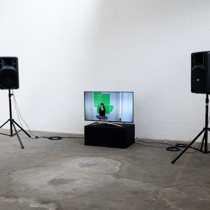 Léa Locher, Homellywoud, 2021, travail de Bachelor
Photo: Laura Morier-Genoud / EDHEA