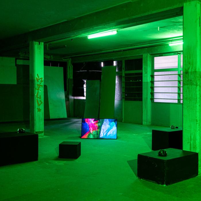 Al Gutierrez, After Laughter Comes Drool, 2022, travail de Master
Photo: Laura Morier-Genoud / EDHEA