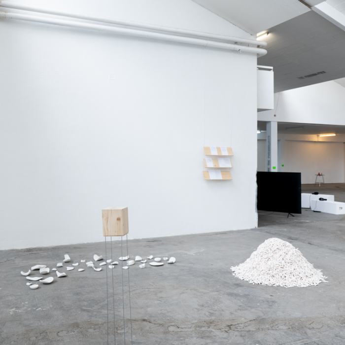 Sylvie Godel, Autoportrait, 2022, travail de Master
Photo: Laura Morier-Genoud / EDHEA