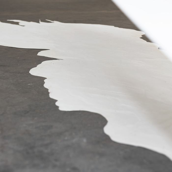 Lucy Morvan, Sans titre (Métamorphose entre deux formes distinctes), 2023, travail de Bachelor
Photo: Fi'Ni Studio  / EDHEA