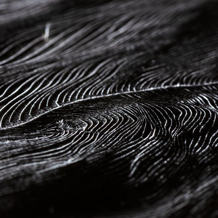 Lucy Morvan, Sans titre (Métamorphose entre deux formes distinctes), 2023, travail de Bachelor
Photo: Fi'Ni Studio  / EDHEA