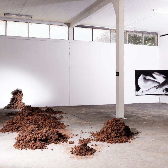 Hafiza Asmal Valodia, To the Unknown: the line is blurred, 2023, travail de Master
Photo: Fi'Ni Studio  / EDHEA