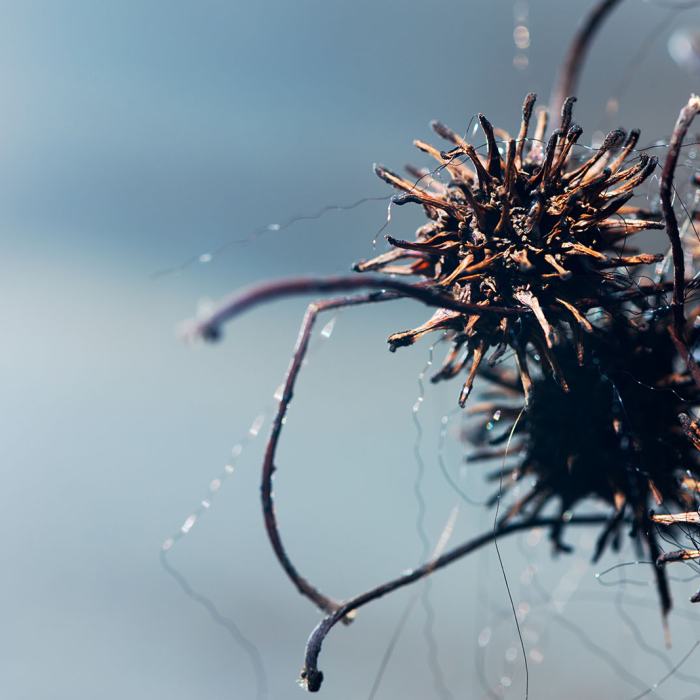 Hafiza Asmal Valodia, To the Unknown: the line is blurred, 2023, travail de Master
Photo: Fi'Ni Studio  / EDHEA