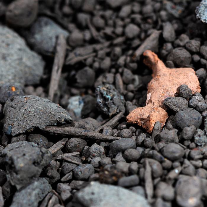 Louis Levesque, Seedness [The act of sowing or the state of being sown], 2023, travail de Master
Photo: Fi'Ni Studio  / EDHEA