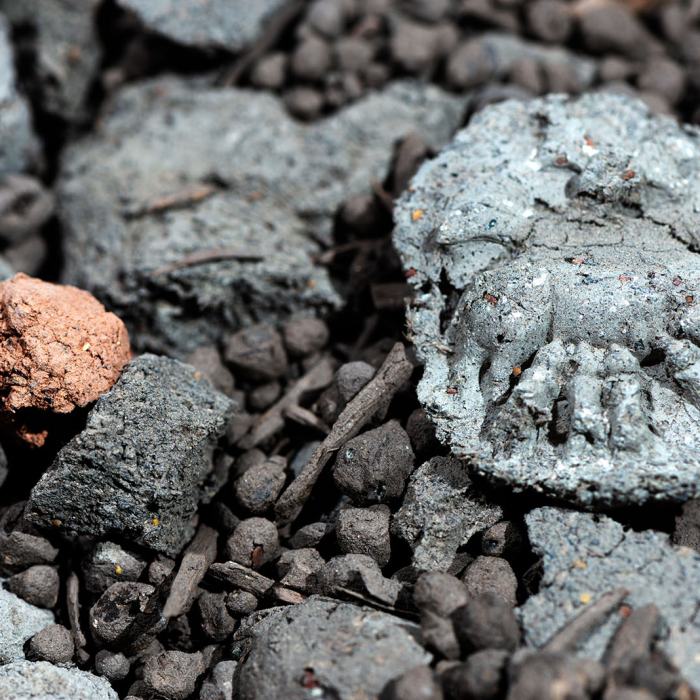 Louis Levesque, Seedness [The act of sowing or the state of being sown], 2023, travail de Master
Photo: Fi'Ni Studio  / EDHEA