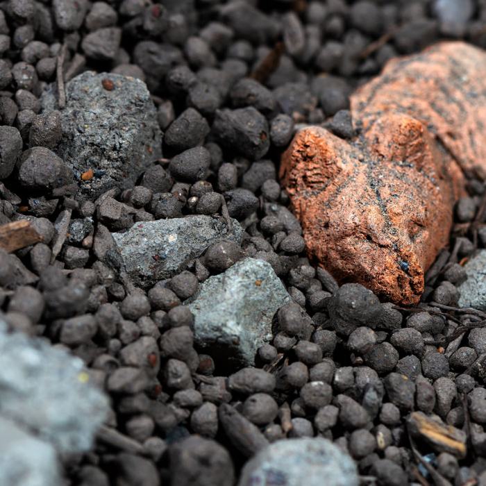 Louis Levesque, Seedness [The act of sowing or the state of being sown], 2023, travail de Master
Photo: Fi'Ni Studio  / EDHEA