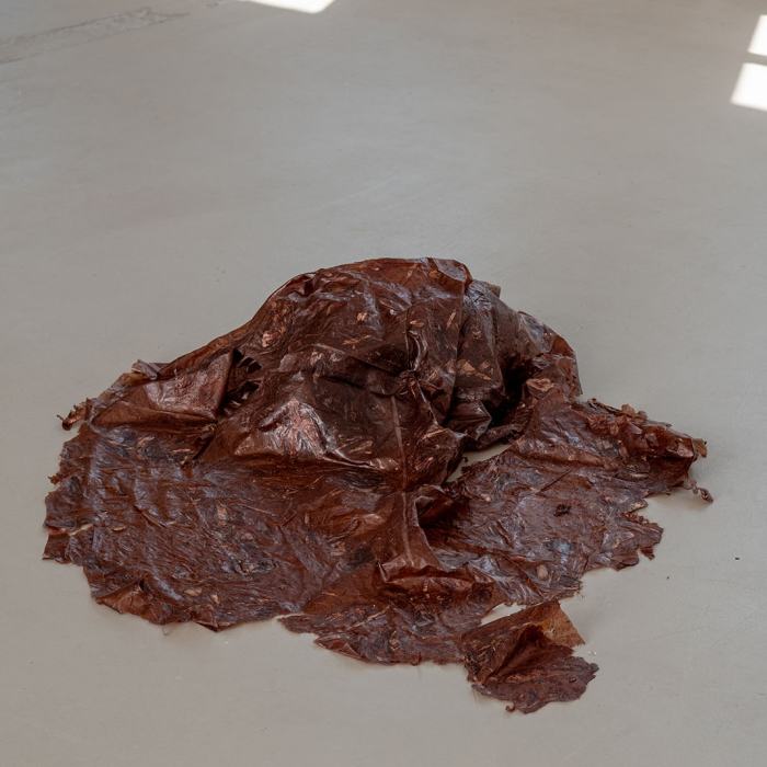 Florane Jamet-Locatelli, Peaux-territoires, travail de Bachelor
Photo: Maurice Eggel  / EDHEA