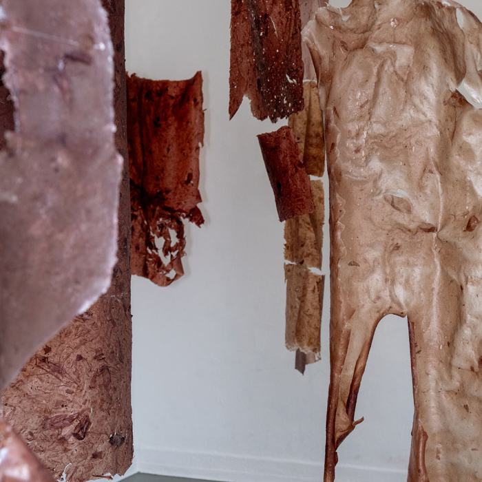 Florane Jamet-Locatelli, Peaux-territoires, travail de Bachelor
Photo: Maurice Eggel  / EDHEA