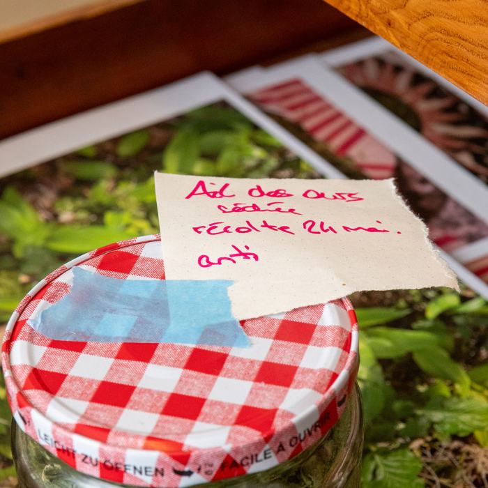 Sacha Kaba, Tower, Death, ¿SevenofPentacles?, travail de Bachelor
Photo: Maurice Eggel  / EDHEA