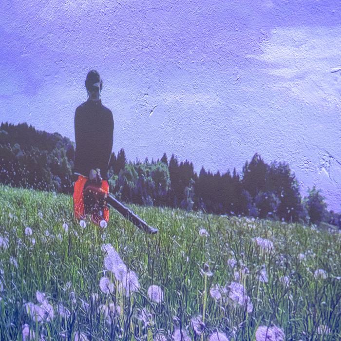 Noah Krummenacher, The superstition that blowing on a dandelion grants you a wish is incredibly beneficial to dandelion reproduction, travail de Master
Photo: Maurice Eggel  / EDHEA