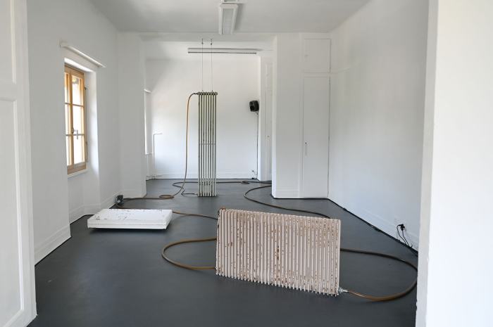 Zoé Schwyzer, Radiateurs domestiques, 2025