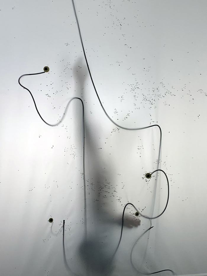 Claire Frachebourg, Extra-lactée (revers #2), 2022