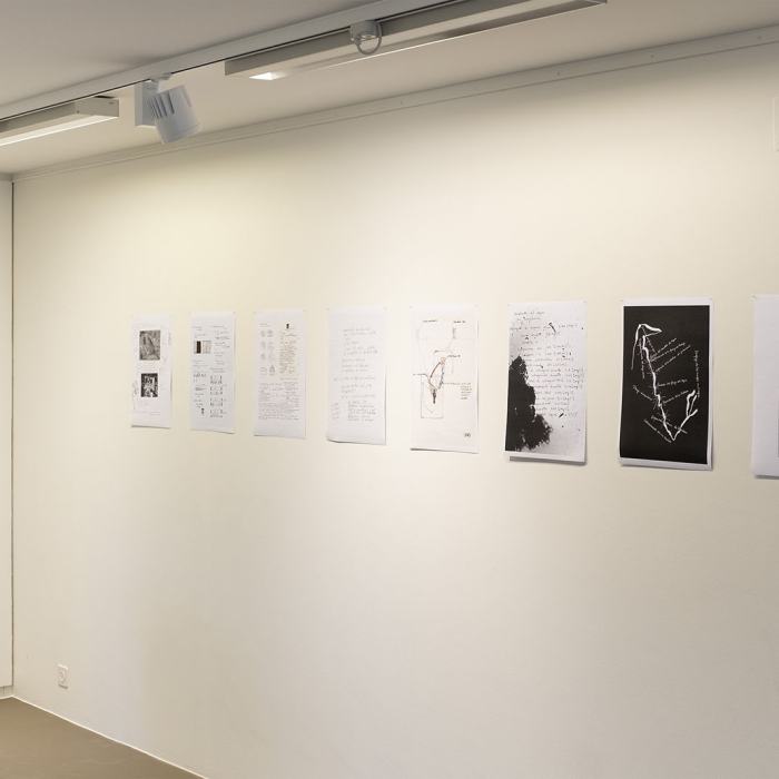 Caroline Opazo, Escritos Visuales (écrits visuels), 2021
Photo: Romain Iannone / EDHEA