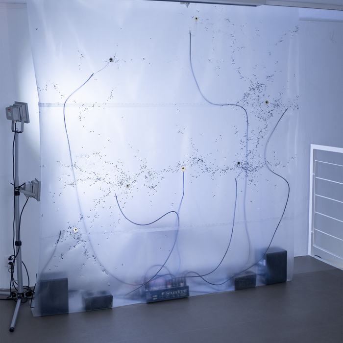 Claire Frachebourg, revers, 2021
Photo: Romain Iannone / EDHEA