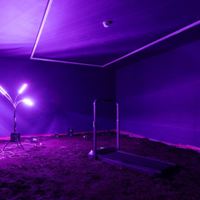 Nina Nicola Schipoff, Is anybody out there? Communication sans cerveau au-delà de ma perception
Photo: Yannick Abbruzzese  / EDHEA