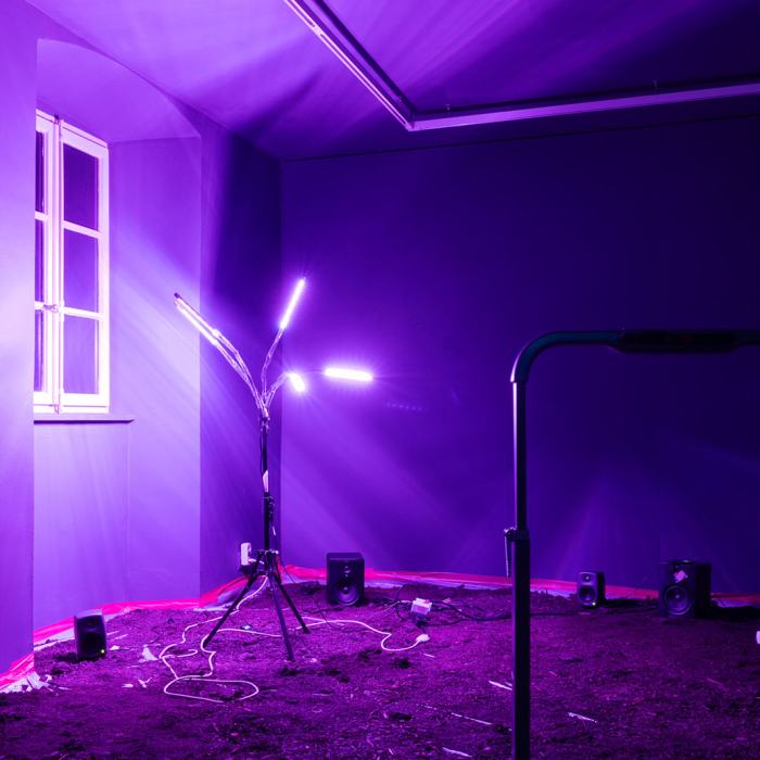 Nina Nicola Schipoff, Is anybody out there? Communication sans cerveau au-delà de ma perception
Photo: Yannick Abbruzzese  / EDHEA