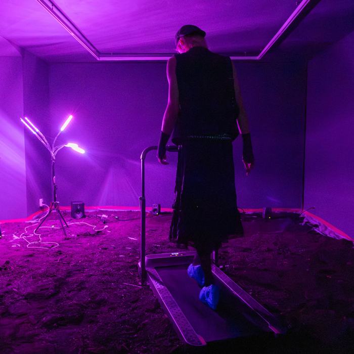 Nina Nicola Schipoff, Is anybody out there? Communication sans cerveau au-delà de ma perception
Photo: Yannick Abbruzzese  / EDHEA